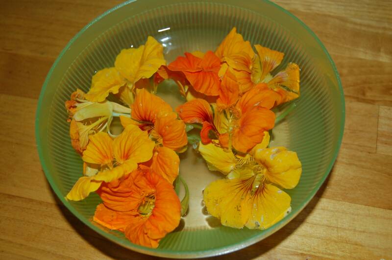 Yes, you can eat nasturtiums!
